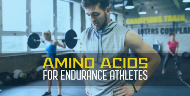 amino acids improve endurance athletes